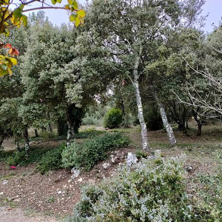 O'Fildl'Eau Gite Sillans-la Cascade Zewnętrze zdjęcie
