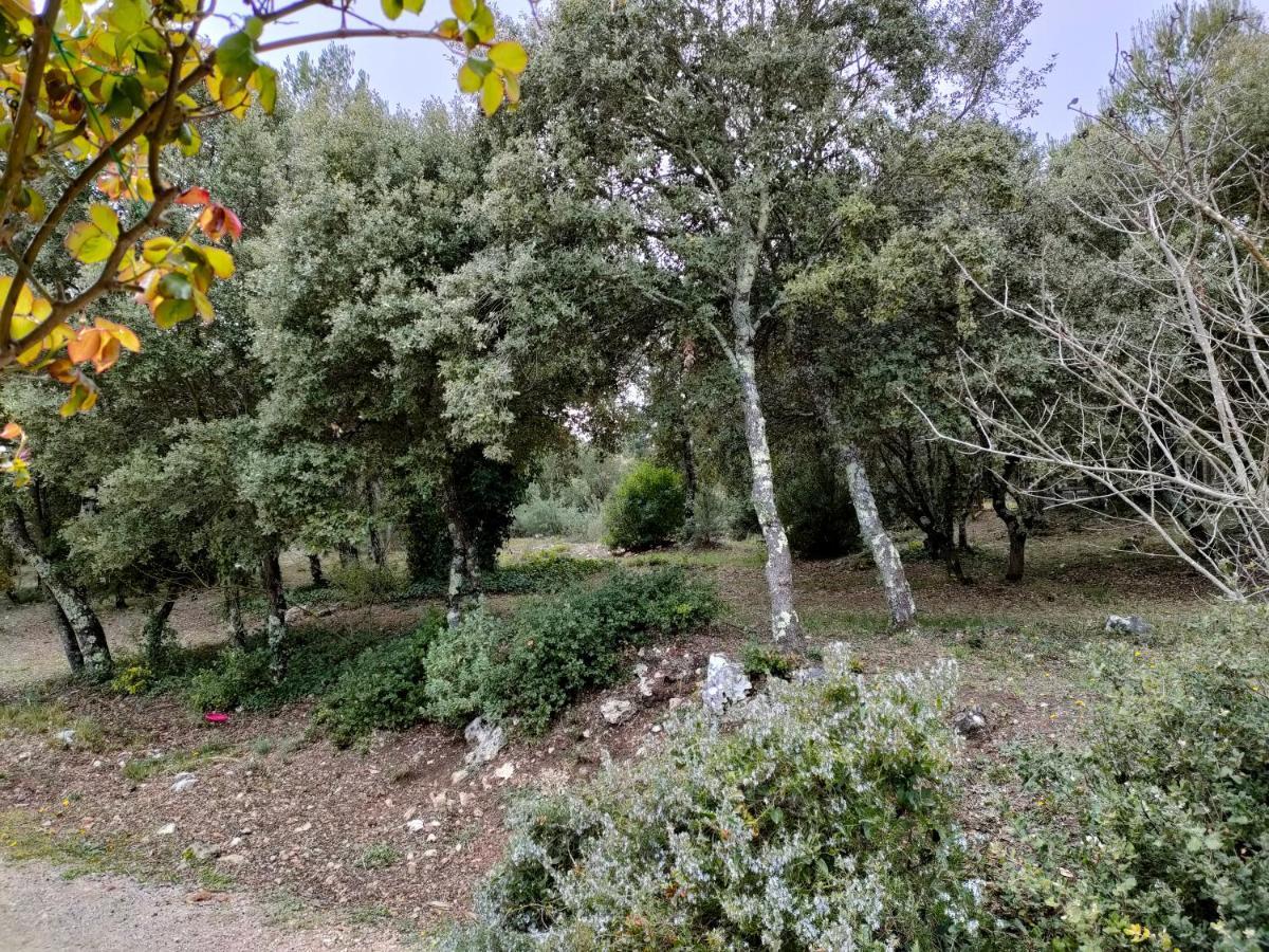 O'Fildl'Eau Gite Sillans-la Cascade Zewnętrze zdjęcie